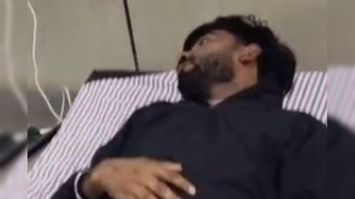 சொமேட்டோவில் ஆர்டர் செய்த சிக்கனில் இறந்த நிலையில் கிடந்த பல்லி... சாப்பிட்டவருக்கு நேர்ந்த வேதனை...! | ட்ரெண்டிங் - News18 தமிழ்