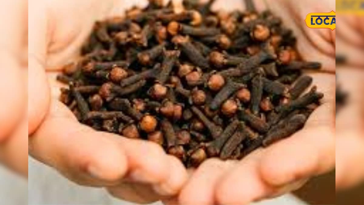 மருத்துவ குணங்கள் கொண்ட கிராம்பு...  வீட்டிலேயே வளர்ப்பது எப்படி...  இந்த ஸ்டெப்ஸ் மட்டும் பாலோ பண்ணுங்க | லைஃப்ஸ்டைல் - News18 தமிழ்