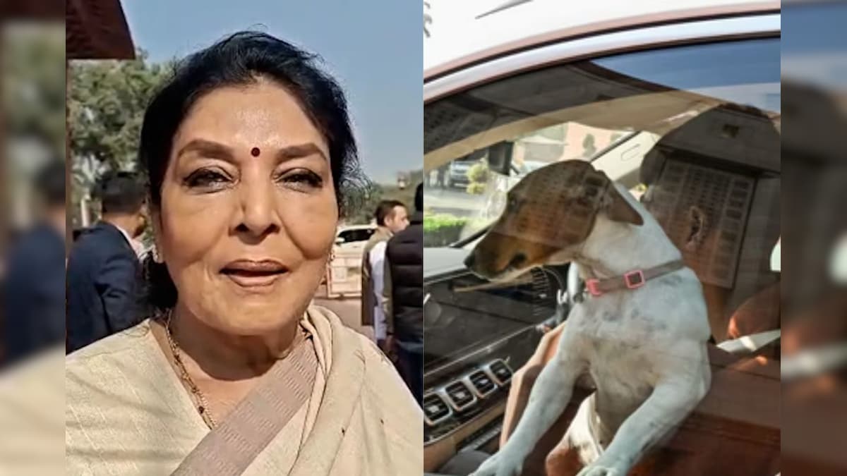 “உண்மையில் கடிப்பவர்கள் நாடாளுமன்றத்தின் உள்ளே இருக்கிறார்கள்” – காங்கிரஸ் எம்.பி. பரபரப்பு | இந்தியா - News18 தமிழ்