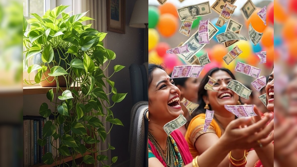 Money Plant Vastu | பணக்கார யோகம் தரும் மணிப்ளாண்ட்.. எந்த திசையில் வைப்பது நல்லது? வாஸ்து சொல்வது இதுதான்! | ஆன்மிகம் - News18 தமிழ்