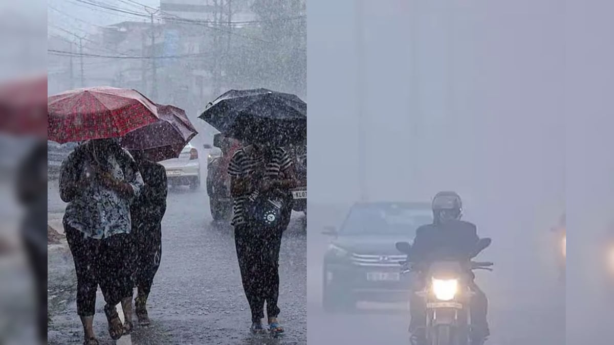 Rain Alert | இன்று முதல் வரும் 16ம் தேதி வரை.. மழை, பனிமூட்டம்.. வானிலை மையம் முக்கிய அப்டேட்..! | தமிழ்நாடு - News18 தமிழ்