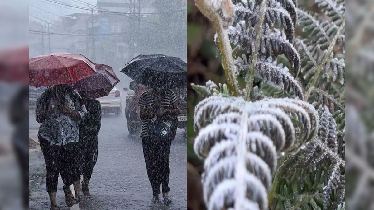 Weather Update | நீலகிரி, கொடைக்கானலில் உறைபனிக்கு வாய்ப்பு.. வானிலை மையம் லேட்டஸ்ட் அப்டேட்! | தமிழ்நாடு - News18 தமிழ்