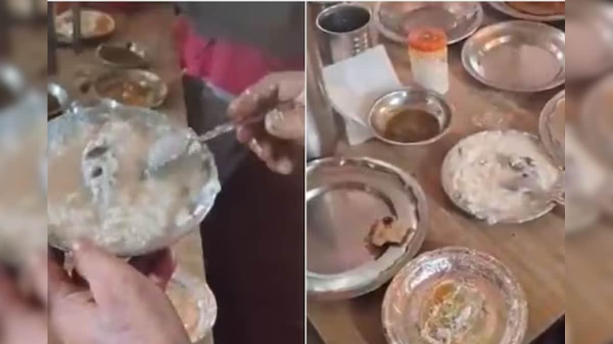 தாபாவில் பரிமாறப்பட்ட தயிரில் இறந்து கிடந்த எலி...! வைரலாகும் வீடியோ... | ட்ரெண்டிங் - News18 தமிழ்