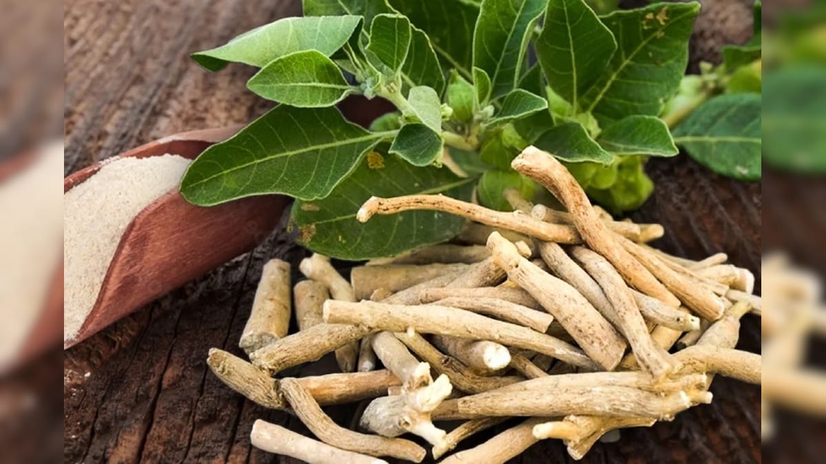 மருத்துவ உச்சிமாநாட்டில் இடம்பெற்ற அஸ்வகந்தா.. நன்மைகள் தெரிஞ்சா விடவே மாட்டீங்க.! | லைஃப்ஸ்டைல் - News18 தமிழ்