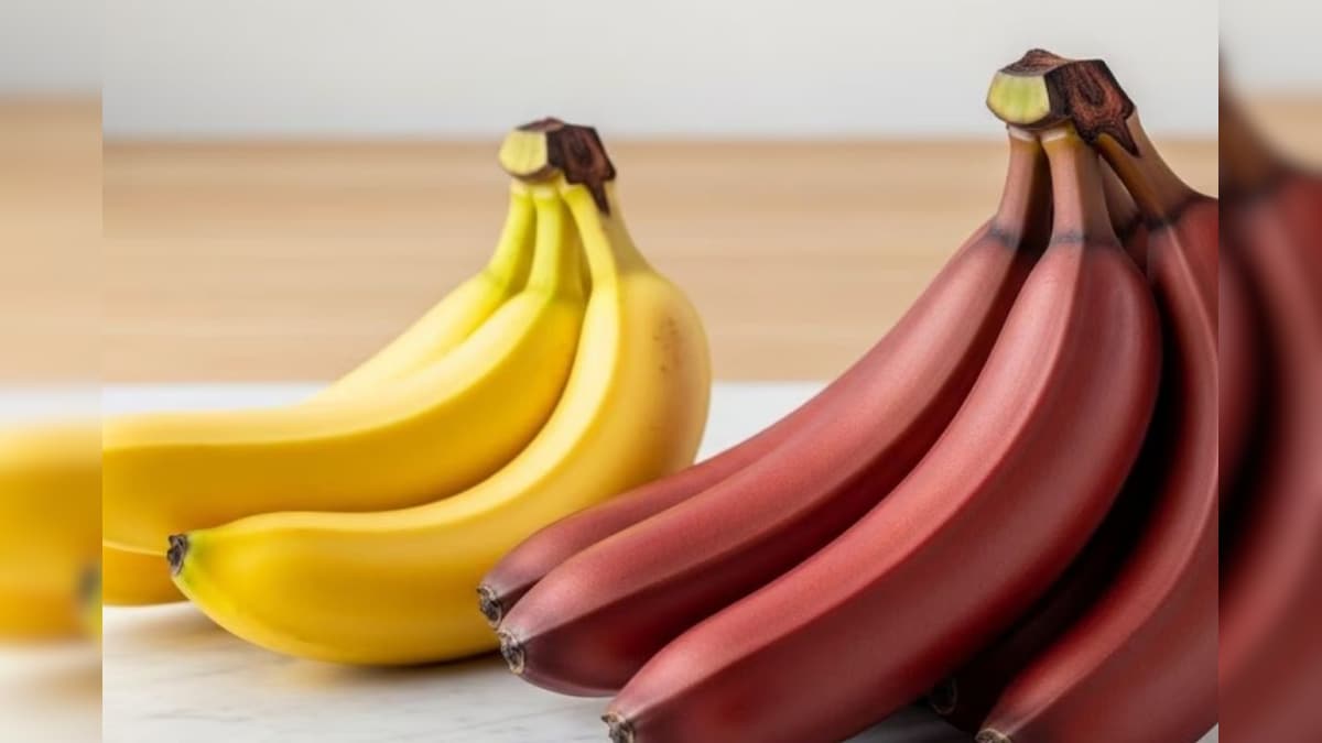 மஞ்சள் அல்லது செவ்வாழை பழங்கள்.. எது ஆரோக்கியத்திற்கு சிறந்தது..? | லைஃப்ஸ்டைல் - News18 தமிழ்