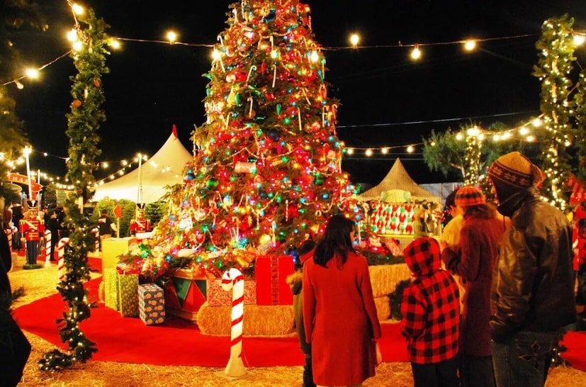  ஆனால் கிறிஸ்தவர்களின் புனித நூலான திருவிவிலியத்தில் "கிறிஸ்துமஸ்" என்ற வார்த்தையே கிடையாது. மேலும், தனது பிறப்பை கொண்டாட வேண்டும் என இயேசு சொன்னதாகவும் இல்லை. தொடக்க காலத்தில் இயேசுவின் தொண்டர்கள், அவர் சிலுவையில் மறித்து, உயிர்த்தெழுந்தார் என்பதையே பண்டிகையாக கொண்டாடி வந்தனர். இன்றைய கிறிஸ்துமஸ் பண்டிகை ஜெர்மனியில் தொடங்கியதற்கான ஆதாரங்கள், கிடைக்கப் பெற்றுள்ளன. 19-ஆம் நூற்றாண்டின் இறுதியில், கிறிஸ்துமஸ் மரங்கள் மற்றும் பரிசளிப்புகள் தொடர்பான பதிவுகள் கிடைத்தன.