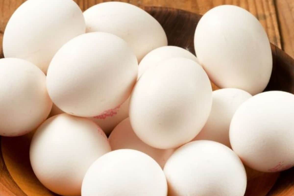 முட்டைக்கு கூட காலாவதி தேதி உண்டா..? எத்தனை நாட்கள் சேமிக்கலாம்?