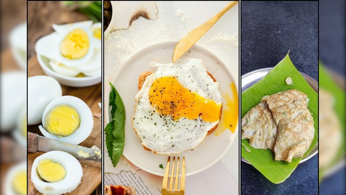 Egg | ஆம்லெட் Vs வேகவைத்த முட்டை Vs ஹாஃப்-பாயில் Vs கலக்கி - அன்றாட உணவிற்கு எது பெஸ்ட் சாய்ஸ்? | லைஃப்ஸ்டைல் - News18 தமிழ்