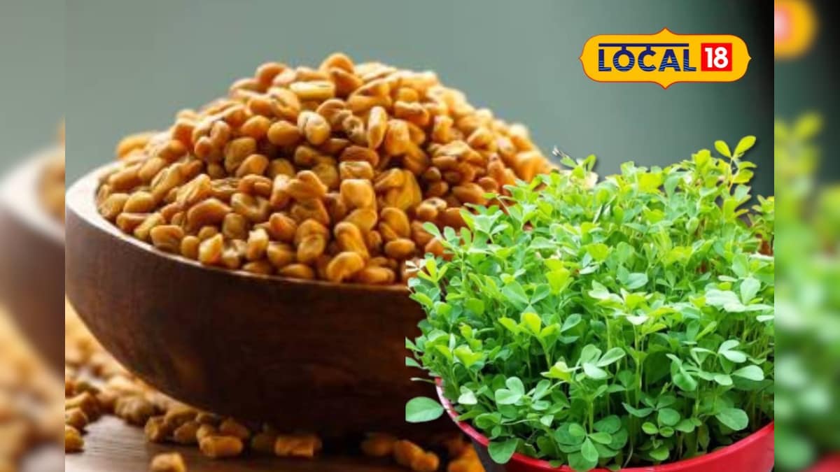 5 நாட்களில் ரெடி!! வீட்டிலேயே வெந்தயக் கீரை வளர்க்க எளிய ஐடியா.? | தமிழ்நாடு - News18 தமிழ்