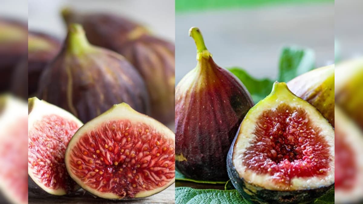 குளிர்கால டயட்டில் உலர்ந்த அத்திப்பழம் சேர்க்க சொல்ல என்ன காரணம் தெரியுமா..? விளக்கம்! | லைஃப்ஸ்டைல் - News18 தமிழ்