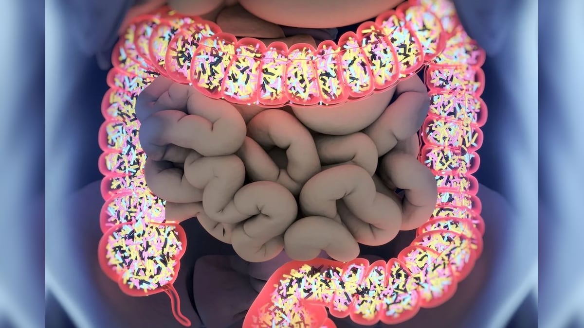 செரிமானம் மட்டுமல்ல, குடல் ஆரோக்கியத்தை இப்படி பாத்துக்கிட்டா எந்த நோயும் நெருங்காது! | லைஃப்ஸ்டைல் - News18 தமிழ்