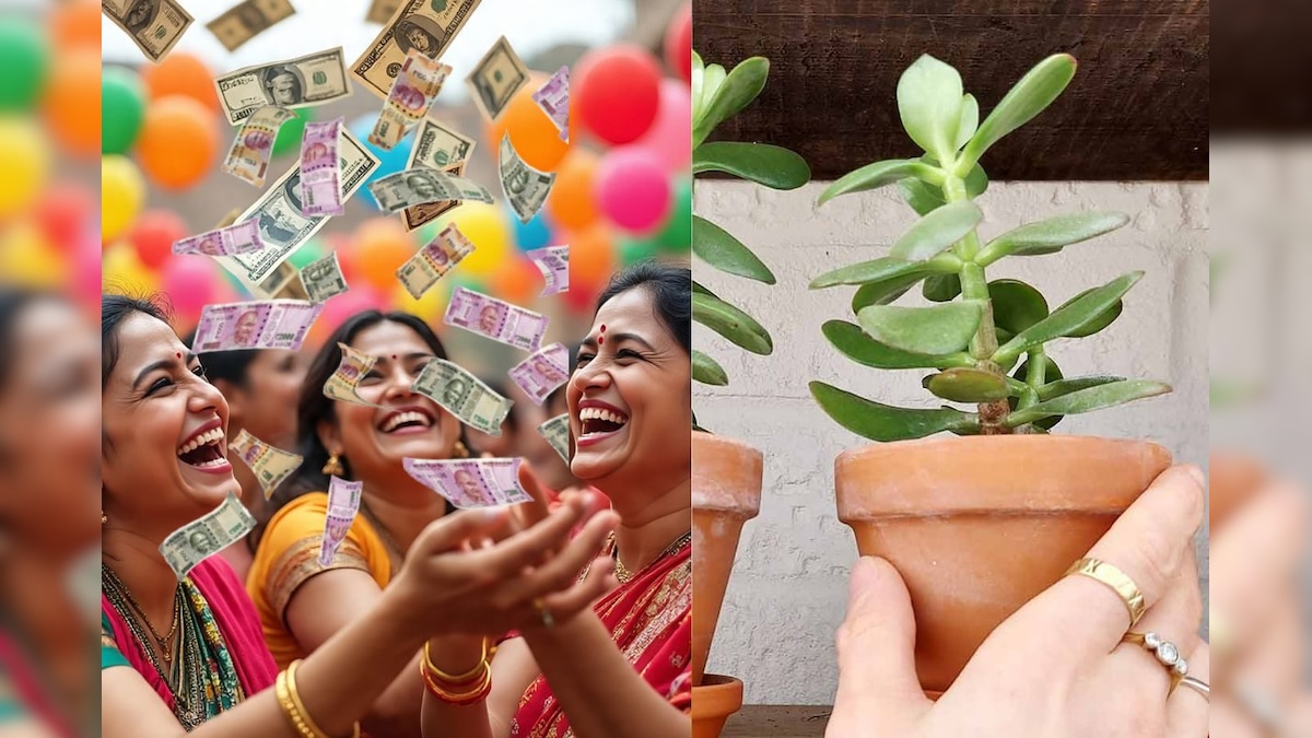 Vastu Tips | மணி பளாண்டை விட அதிர்ஷ்டம் அதிகம்.. பணக்கார யோகம் தரும் க்ராசுலா செடி.. வாஸ்து சொல்வது என்ன? | ஆன்மிகம் - News18 தமிழ்