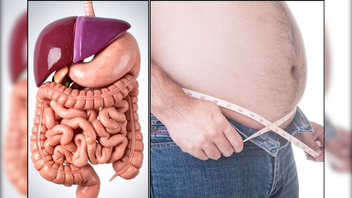 Liver | இந்த 4 அறிகுறிகள் உங்களுக்கு இருக்கிறதா? அப்போ உங்க கல்லீரல் சரியாக செயல்படவில்லை! உஷார்... | லைஃப்ஸ்டைல் - News18 தமிழ்