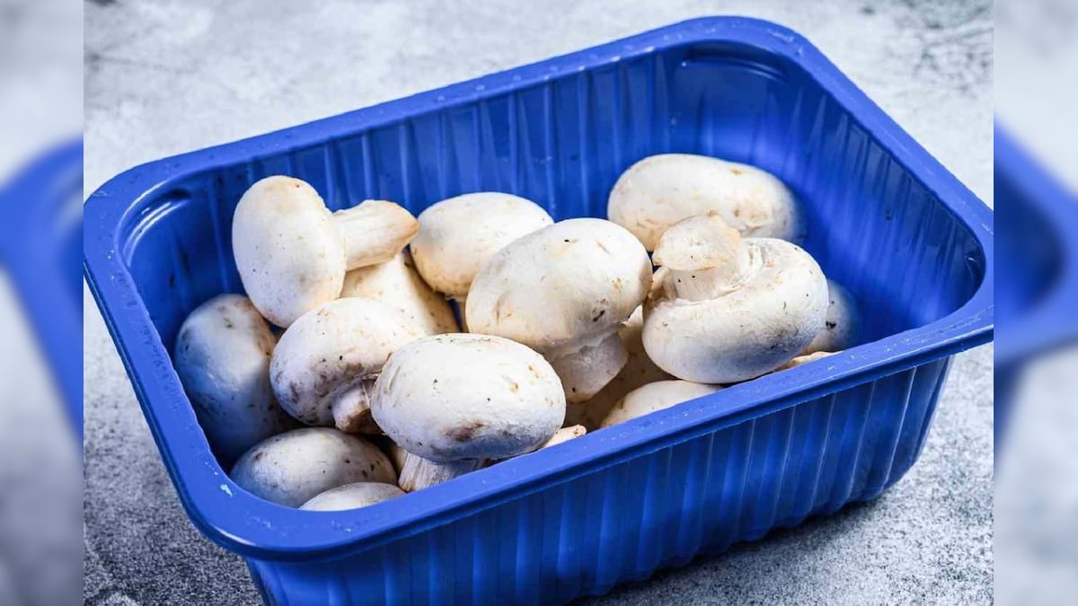 மஷ்ரூம் நீண்ட நாட்களுக்கு சேமித்து வைக்க இந்த டிப்ஸ் டிரை பண்ணுங்க..! | லைஃப்ஸ்டைல் - News18 தமிழ்