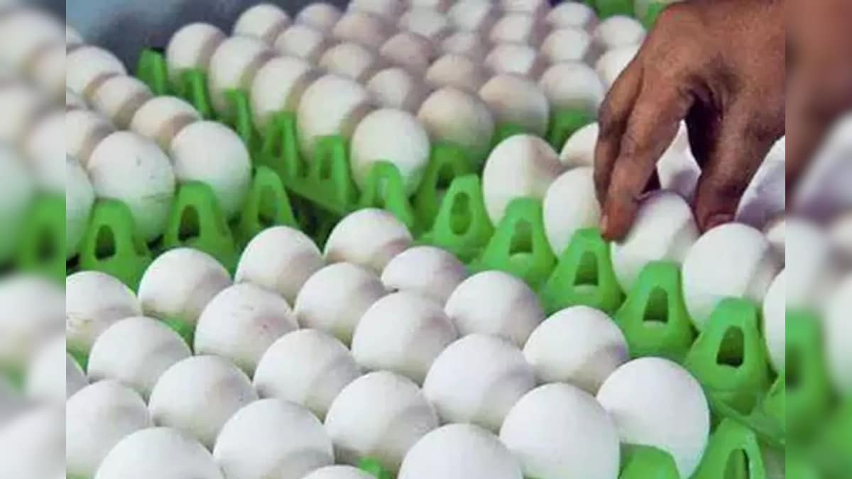 நாமக்கல்லில் முட்டை விலை வரலாறு காணாத அளவுக்கு அதிகரிப்பு... ரூ.6.15 ஆக விற்பனை! | தமிழ்நாடு - News18 தமிழ்