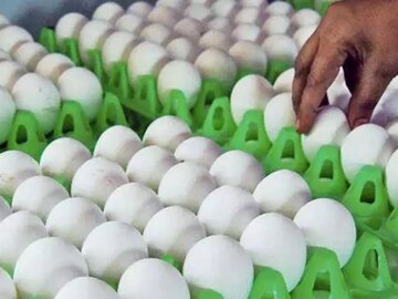 முட்டை விலை வரலாறு காணாத அளவுக்கு அதிகரிப்பு