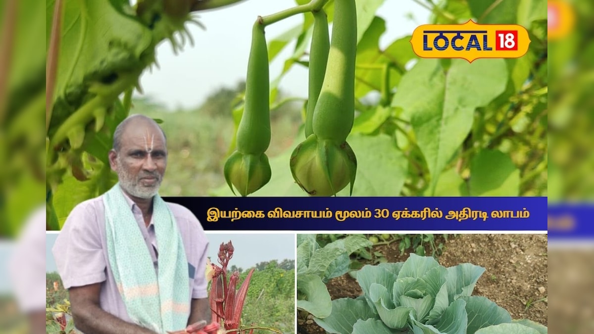 ரசாயனத்திற்கு குட்பை!! 30 ஏக்கரில் அதிரடி லாபம் எப்படி.? - ரகசியத்தை உடைத்த விவசாயி | விவசாயம் - News18 தமிழ்