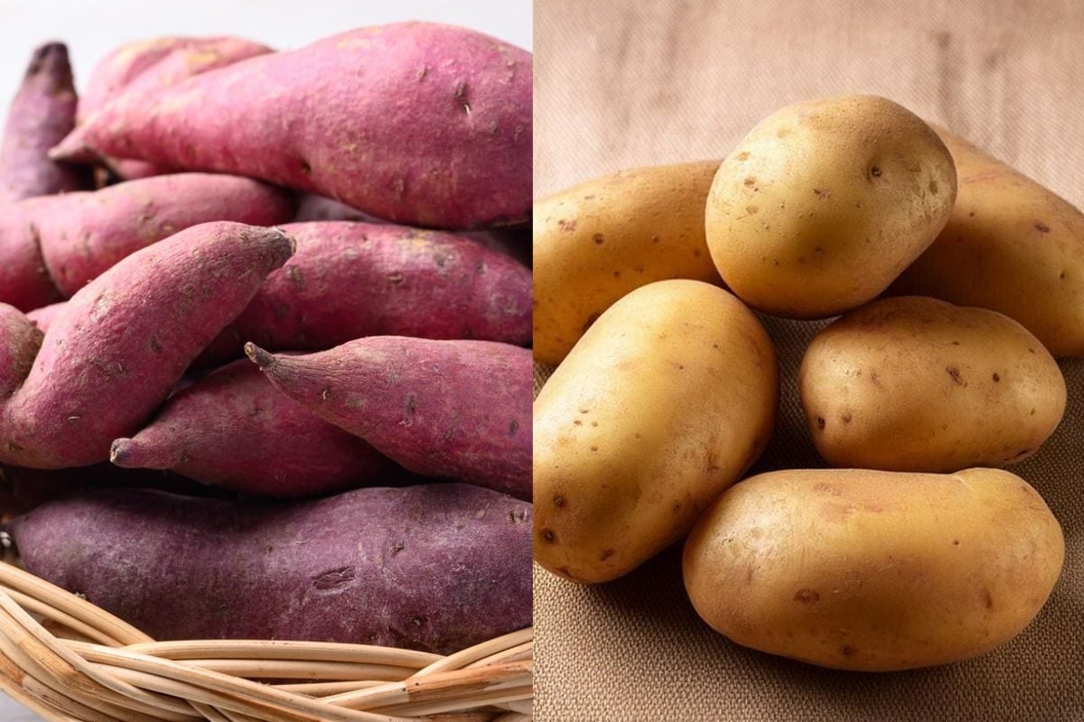 சர்க்கரைவள்ளிக் கிழங்கு Vs உருளைக்கிழங்கு: உடல் எடையை குறைக்க எது சிறந்தது?
