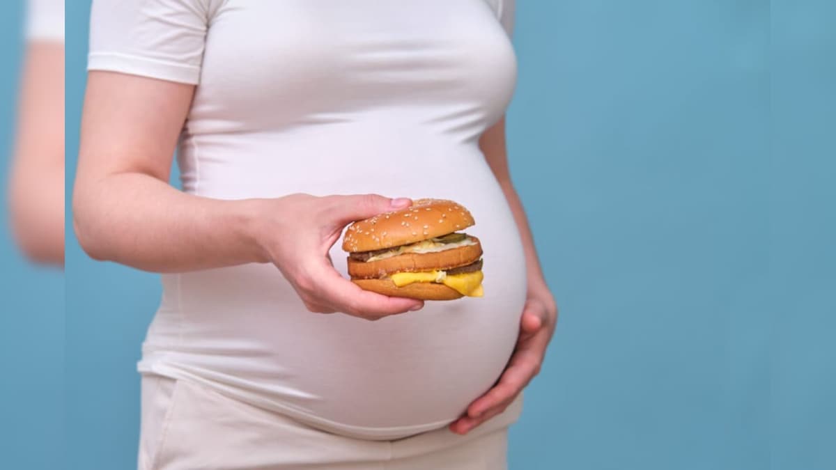 கர்ப்ப காலத்தில் கொழுப்புள்ள உணவுகளை நுகர்ந்தால் கூட கருவின் எடை அதிகரிக்குமாம் - ஆய்வில் தகவல்.! | லைஃப்ஸ்டைல் - News18 தமிழ்