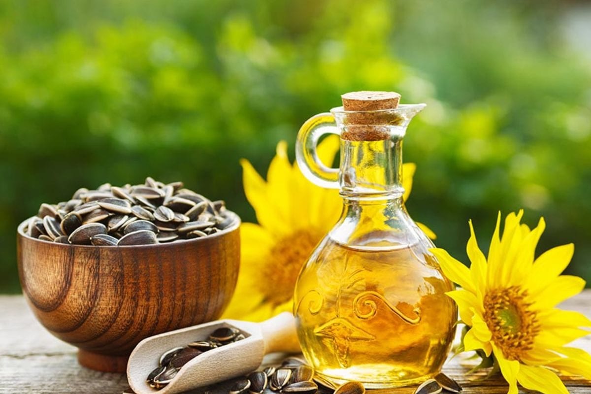 சமையலுக்கு சூரியகாந்தி எண்ணெய் பயன்படுத்துவது நல்லதா..? நிபுணர்கள் பதில்..!