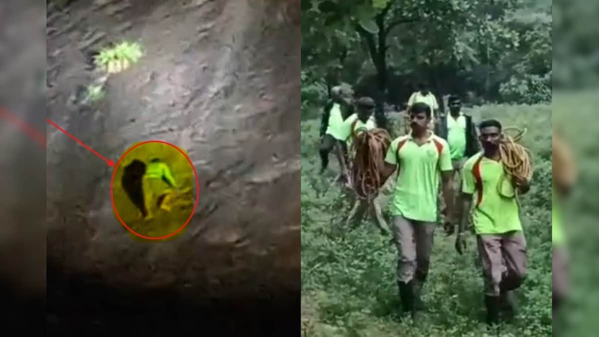 1000 அடி உயர மலையில் பதுங்கியிருந்த ரவுடி... தேடிச்சென்ற ஐந்து போலீசாருக்கு காத்திருந்த சிக்கல்.. என்ன நடந்தது? | தமிழ்நாடு - News18 தமிழ்