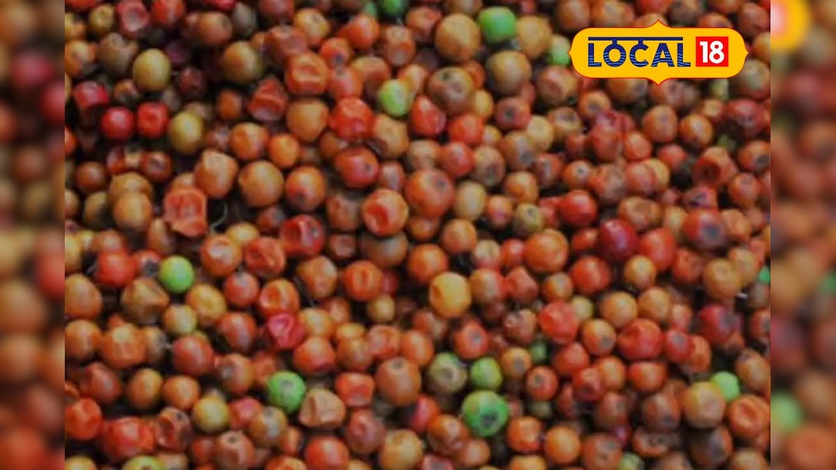 90ஸ் கிட்ஸ் ஃபேவரைட்... தூத்துக்குடியில் களைகட்டும் இலந்தைப் பழம் விற்பனை... | தூத்துக்குடி - News18 தமிழ்