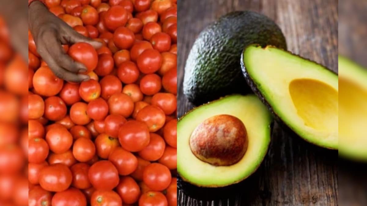 அவகாடோ vs தக்காளி: ஆரோக்கியமான பழத்திற்கான பட்டியலில் முதலிடம் பிடித்தது எது தெரியுமா? | லைஃப்ஸ்டைல் - News18 தமிழ்