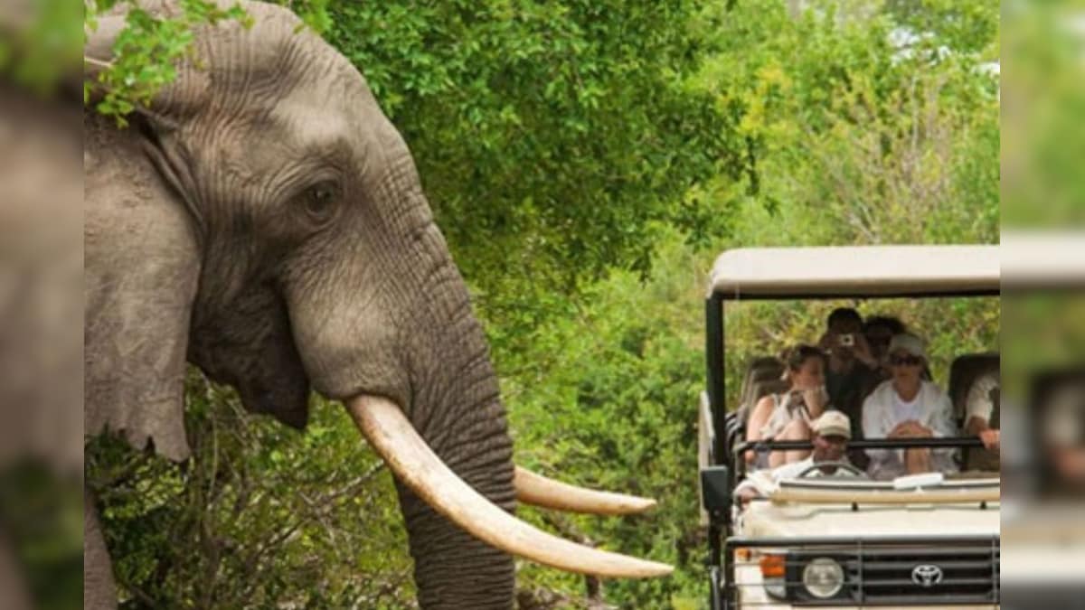 ஜனவரி 2026-இல் தென்னிந்தியாவில் பார்க்க வேண்டிய சிறந்த இடங்களின் பட்டியல்.!  | லைஃப்ஸ்டைல் - News18 தமிழ்