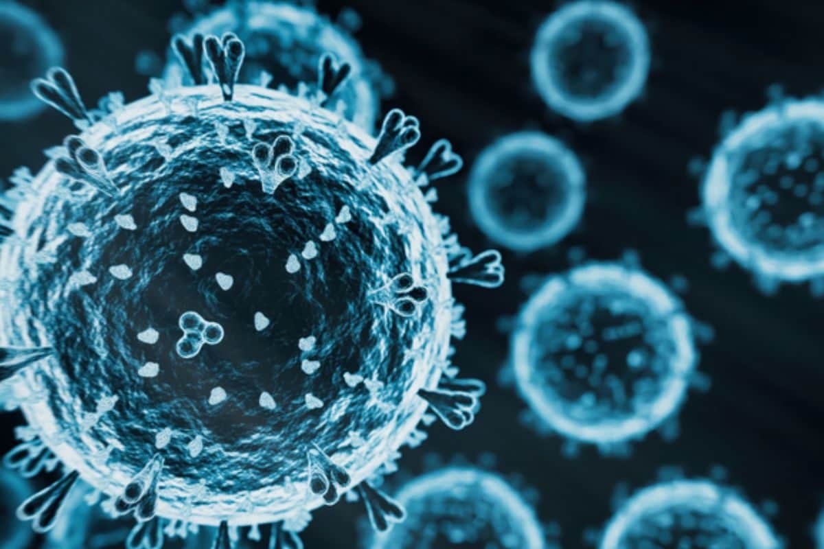 H5N1 வைரஸ் மனிதர்களுக்கு எப்படிப் பரவக்கூடும்? - ஆய்வில் கண்டறிந்த இந்திய விஞ்ஞானிகளின் விளக்கம்