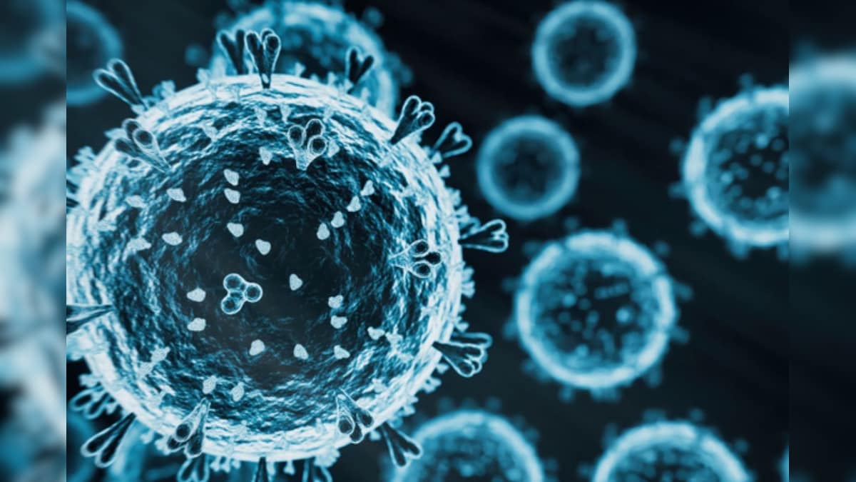 H5N1 வைரஸ் மனிதர்களுக்கு எப்படிப் பரவக்கூடும்? - ஆய்வில் கண்டறிந்த இந்திய விஞ்ஞானிகளின் விளக்கம் | லைஃப்ஸ்டைல் - News18 தமிழ்