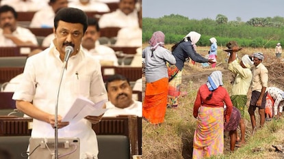 "100 நாள் வேலை திட்டம் தொடர்பாக நாளை பேரவையில் தீர்மானம்" முதல்வர் ஸ்டாலின் அறிவிப்பு