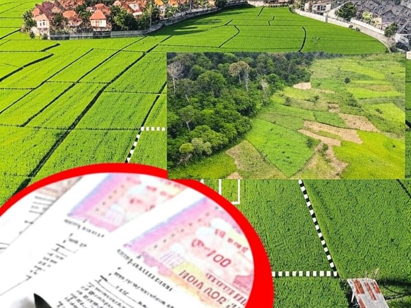 அதேபோல், பலருக்கு எழும் மற்றொரு கேள்வி என்னவென்றால், 2005ஆம் ஆண்டு திருத்தச் சட்டத்தின்படி, மகள்களுக்கும் மகன்களுக்கும் சொத்தில் சம உரிமை உண்டு. இருப்பினும், ஒரு தந்தை தனது தனிப்பட்ட சொத்தில் உயில் எழுதும் விஷயத்தில், சொத்து அவர் குறிப்பிட்டவர்களுக்குச் செல்கிறது. தந்தை உயில் எழுதாமல் இறந்தால், அனைத்து மகன்களுக்கும் மகள்களுக்கும் சம பங்கு கிடைக்கும். சில சந்தர்ப்பங்களில், ஒரு தந்தை தனது உயிலில் தனது அனைத்து சொத்துக்களையும் குறிப்பிடாமல் இருக்கலாம். 