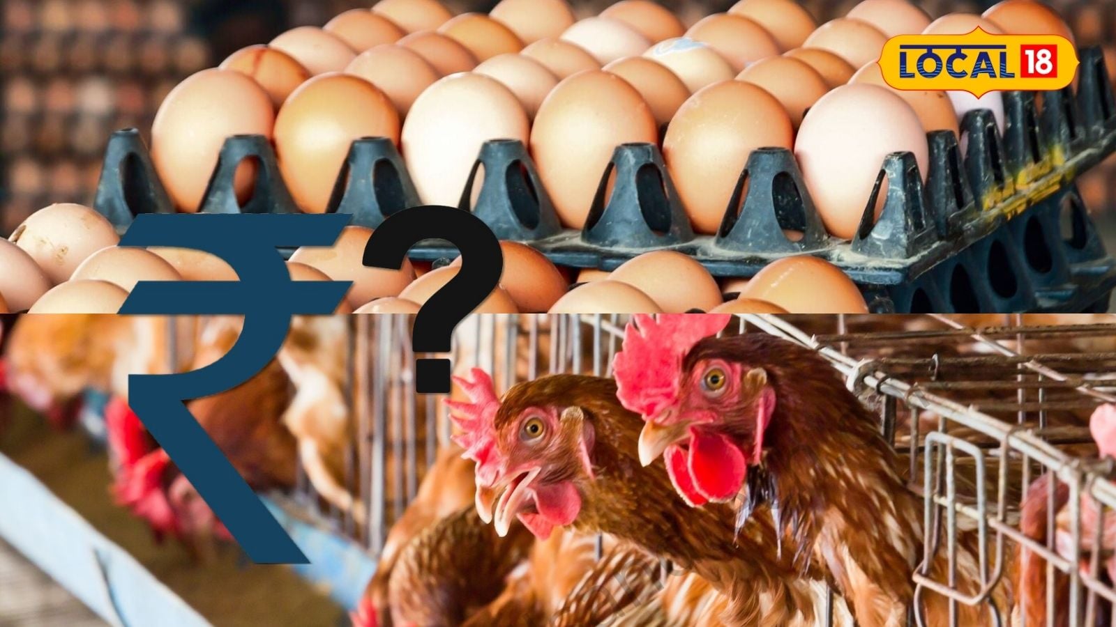 நாளுக்கு நாள் உயரும் முட்டை விலை... இன்றைய விலை நிலவரம் என்ன.? | தமிழ்நாடு போட்டோகேலரி - News18 தமிழ்