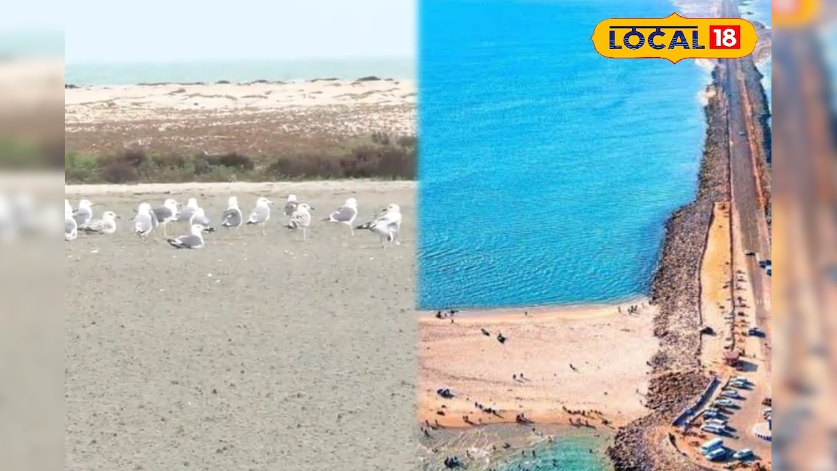 நேற்று இல்லாத மாற்றம் என்ன இது... தனுஷ்கோடி தென் கடலில் உருவாகிய புதிய தீடை...! | தமிழ்நாடு - News18 தமிழ்