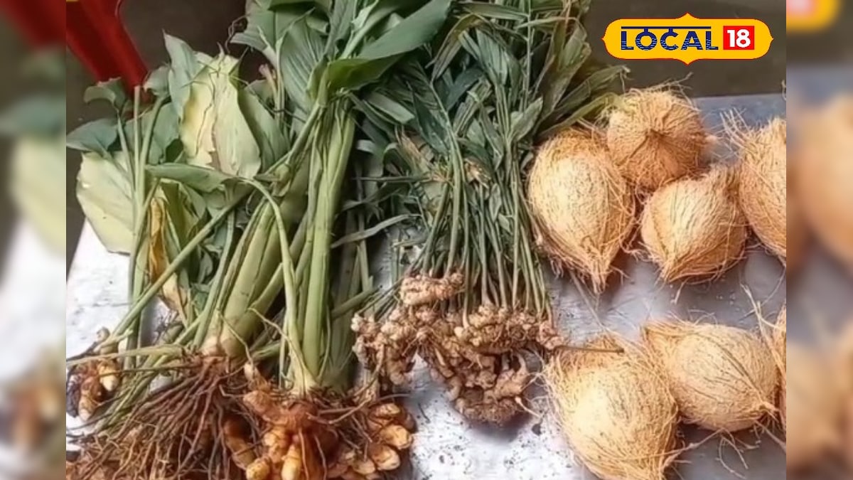 பொங்கல் பண்டிகை... குறைந்த விலைக்கு பொருட்கள்... சிறப்பு அங்காடி திறந்த அரசு..! | புதுச்சேரி - News18 தமிழ்