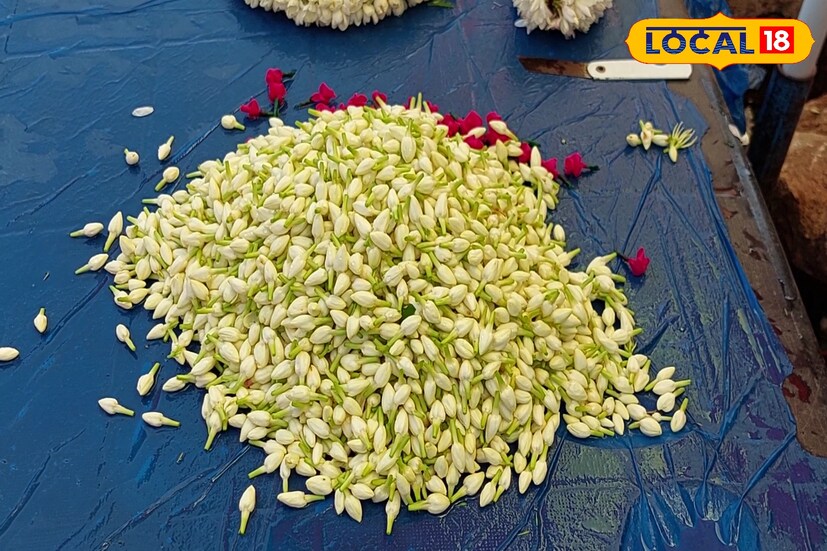 மல்லிகை