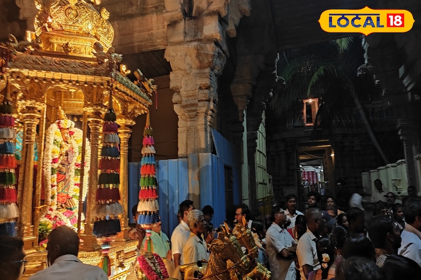 மொத்தத்தில், நெல்லையப்பர் தங்கத்தேர் என்பது வெறும் ஒரு திருவிழா நிகழ்ச்சி மட்டுமல்ல; அது நெல்லையப்பர் கோயிலின் ஆன்மிகம், வரலாறு, கலை மற்றும் பண்பாட்டு மரபுகள் அனைத்தையும் ஒருங்கிணைக்கும் ஒரு தெய்வீக சின்னமாகும். தங்கத்தேரை தரிசிக்கும் பக்தர்கள், மன அமைதியும் இறை அருளும் பெற்றதாக உணர்கிறார்கள். இவ்வாறு நெல்லையப்பர் கோயிலும், அதன் தங்கத்தேர் பவனியும், தலைமுறைகள் கடந்து பக்தர்களின் நம்பிக்கையையும் தமிழகத்தின் ஆன்மிக மரபையும் சுமந்து நிற்கும் ஒரு பெருமைமிகு தலமாகத் திகழ்கிறது.