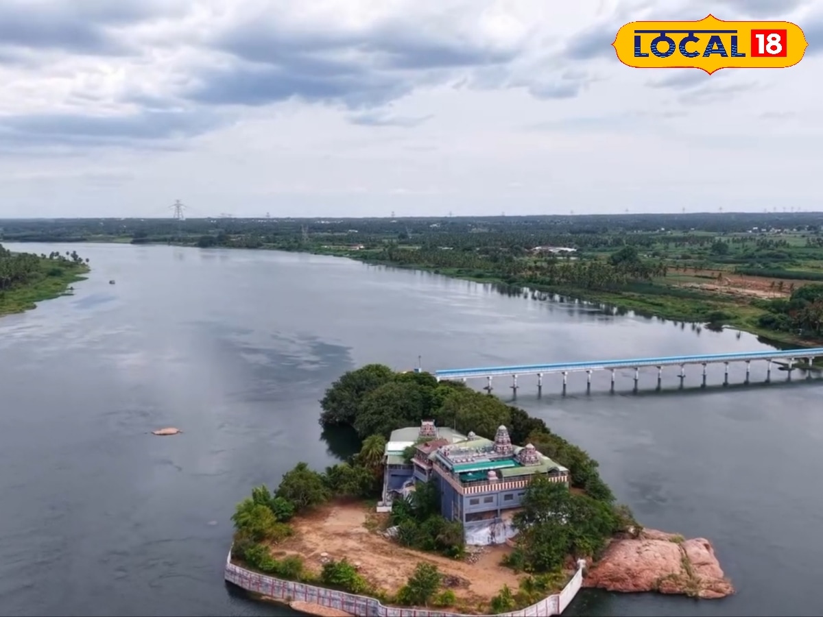 3000 ஆண்டுகள் பழமையான அதீ மரம்... சிவனால் உருவாக்கப்பட்ட கோயில்... தமிழ்நாட்டில் இப்படியொரு கோயிலா..? | ஆன்மீகம் போட்டோகேலரி - News18 தமிழ்