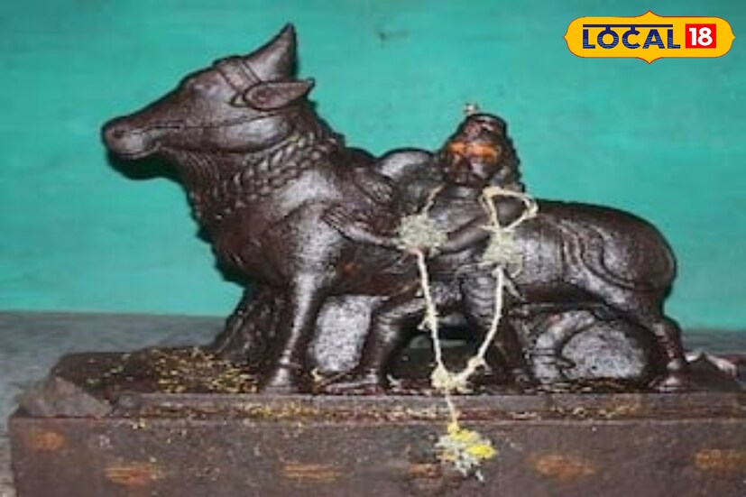 ஜல்லிக்கட்டு