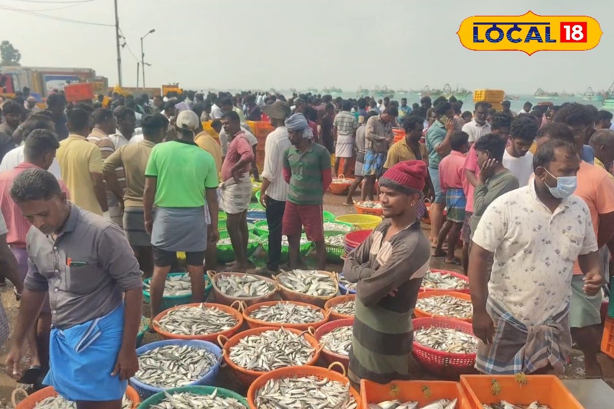 https://images.news18.com/tamil/uploads/2026/01/HYP_5707804_cropped_16012026_185828_kmc_20260116_185732_waterm_1-3x2.jpg