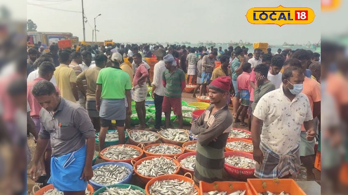 பொங்கல் பண்டிகையால் மீனவர்களுக்கு அடித்த ஜாக்பாட்... படகிற்கு ஒரு லட்சம் வரை லாபம்..! | தமிழ்நாடு - News18 தமிழ்