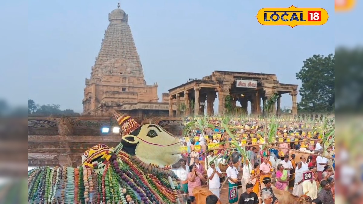 பெரிய கோவில் மாட்டுப்பொங்கல்... 2000 ஆயிரம் கிலோ உணவுப் பொருட்களால் நந்திக்கு அலங்காரம் ! | தஞ்சாவூர் - News18 தமிழ்