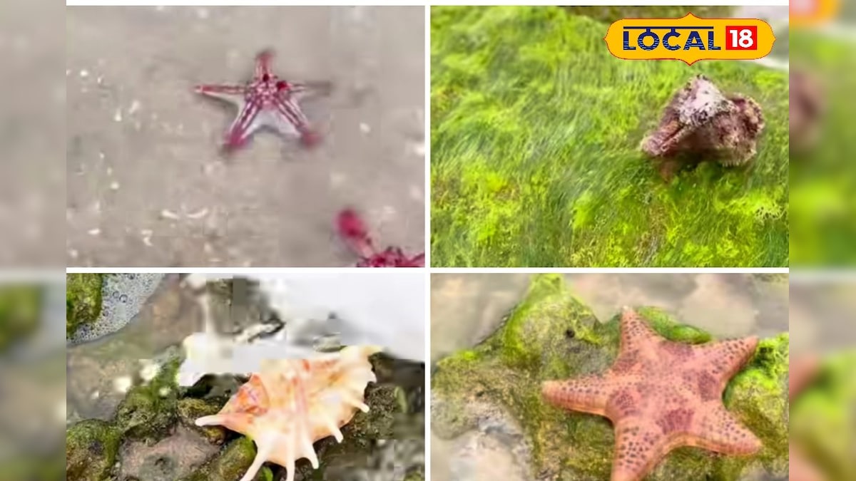 Maldives Beachக்கு டஃப் கொடுக்கும் அழகு... மனிதன் கால் படாத இயற்கை அழகு கொட்டிக்கிடக்கும் கடற்கரை... | பயணம் - News18 தமிழ்