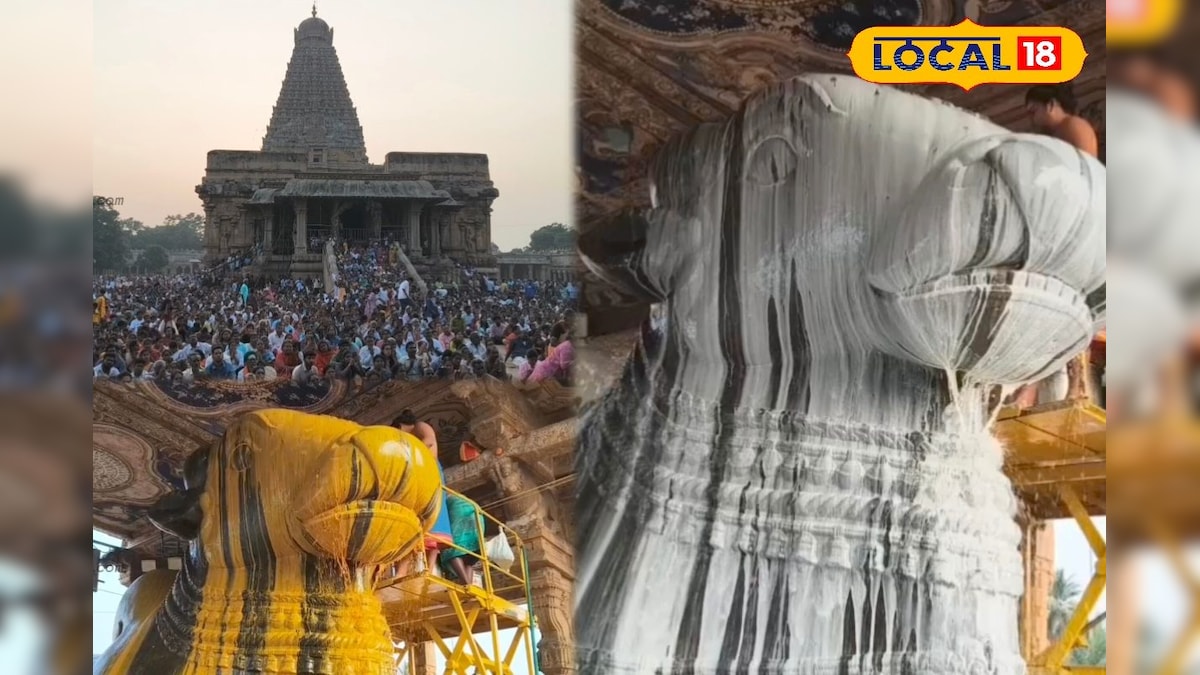 தஞ்சை பெரிய கோவிலில் தை பிரதோஷம்... ஆயிரக்கணக்கான பக்தர்கள் சாமி தரிசனம்!  | தஞ்சாவூர் - News18 தமிழ்