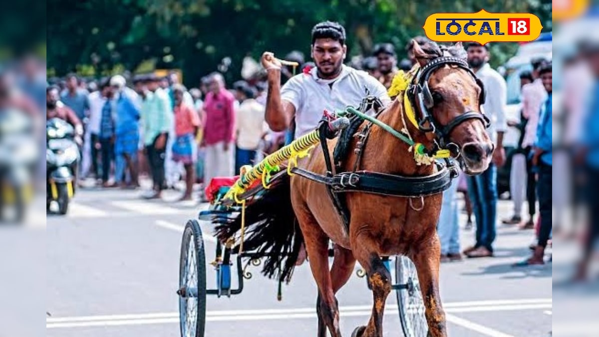 திருக்கடையூரில் சீறி பாய்ந்த குதிரைகள்... பொங்கல் பண்டிகையையொட்டி களைகட்டிய ரேஸ்... | மயிலாடுதுறை - News18 தமிழ்