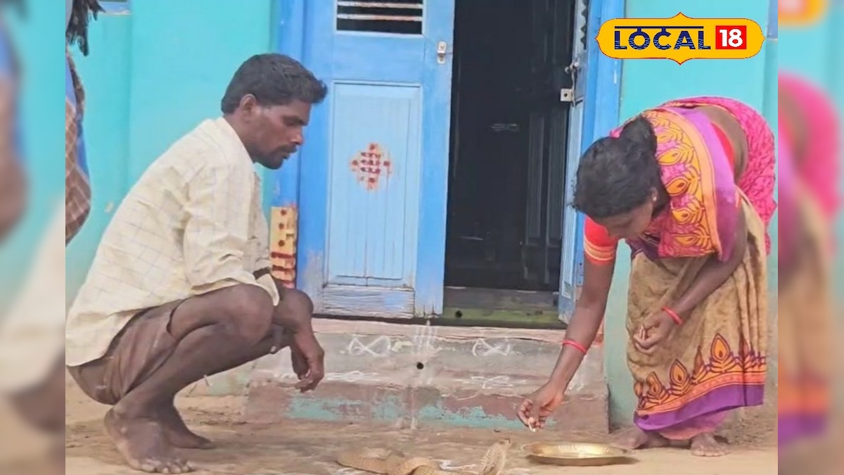 'நல்ல பாம்பை' வணங்கும் வினோதம் ... பாம்புக்கு பயப்படாத அதிசய கிராமம்... தமிழ்நாட்டில் எங்கிருக்கு தெரியுமா? | ஆன்மிகம் - News18 தமிழ்