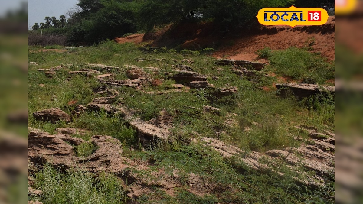 மண்ணுக்குள் மறைந்திருந்த கடல்... படிமங்களால் வெளிவந்த 10,000 ஆண்டு வரலாறு... | தூத்துக்குடி - News18 தமிழ்