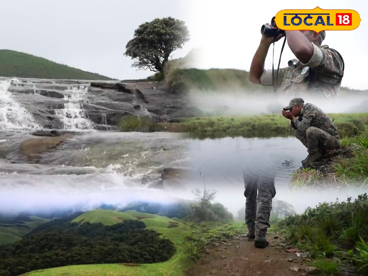 24 மணி நேரமும் காட்டுக்குள் தான் வாழ்க்கை... காட்டுக்கும், விலங்குகளுக்கும் காவல் இவங்க தான்... | தமிழ்நாடு போட்டோகேலரி - News18 தமிழ்