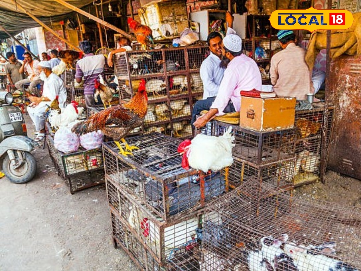 ரூ.400 ஐ நெருங்கிய கோழிக்கறி விலை... ஷாக்கில் சிக்கன் பிரியர்கள்... | வணிகம் போட்டோகேலரி - News18 தமிழ்