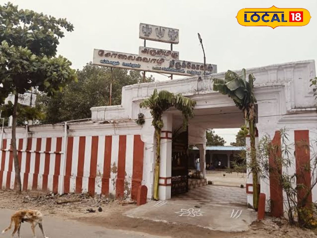 போர் வீரன் பெயரை தாங்கி நிற்கும் கிராமம்... பன்றி கறி படையலிட்டு வணங்கும் மக்கள்... | Thoothukudi Photogallery (தூத்துக்குடி போட்டோகேலரி) - News18 தமிழ்